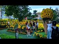 【Sunflower Sky Garden　ひまわりスカイガーデン2024】　名古屋市　2024年7月28日（日）　大名古屋ビルヂング５階にて　　Aichi-Japan