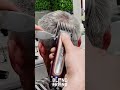 This comb lets you cut hair like a pro barber! #barber #haircut #fade #shortvideo #hairtutorial