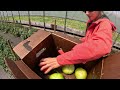 Pennsylvania Fruit And Vegetable Harvest