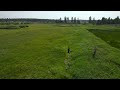 5 month old puppy learning to trail - Drone was a little distracting.