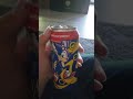 Rating the official GFUEL Sonic The Hedgehog Energy Drink