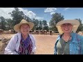 What to know about mule rides at the Grand Canyon [north & south rims, booking, what to expect]