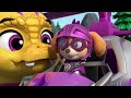 Sea Patrol + Mission Paw, and MORE! | PAW Patrol Compilation | Cartoons for Kids