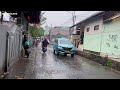 heavy rain in my cold village | raining all day | fell asleep immediately to the sound of heavy rain