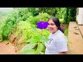 කාලෙකින් ගමේ අය බලන්න ගිය අපි  ||Travel || Day Vlog || Hair Growth Oil || My Diary DayToDay Life