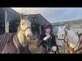 Irish Draught's are SO Honest! Trail Hunting in Monday Country | Equestrian