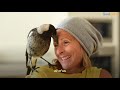 Wild Magpie Knew Exactly What This Family Needed | The Dodo Soulmates