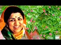 LataMangeshkar#lata ke geet#oldsong  #evergreen#romanticsong#sadabaharsong#song@Tani the music lover