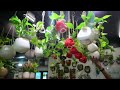 വൻ ലാഭത്തിൽ Indoor Plants 😱😱😱 | The Plant Planet