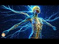 Discover the Benefits of Vagus Nerve Activation with 2 Hz + 90 Hz Frequency Music