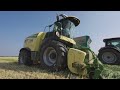 Alfalfa harvesting in France | Krone forage harvesting | Agriculture | BiG X | EasyCut | Tractors