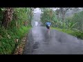 Beautiful Rain in Indonesian||Rainy Atmosphere in The Village||Very Calming For Relaxation