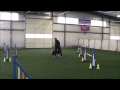 2015 02 07 KD Winter Camp Sequences MEB