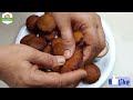 વણવાની કે ટીપવાની મહેનત વિના પોચા ટેસ્ટી બાજરીનાં લોટનાં વડા બનાવો | Bajri Na Vada | Gujarati Vada