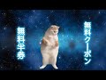 猫様をあまりにゃめるにゃよ？