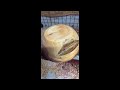 Wood Turning Small Step Cedar Bowl