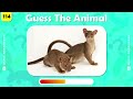 Guess 120 Animals in 3 Seconds (Animal Quiz) - Easy to Hard