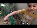 Fun Learning Farm and Sea Animals with Zayan & Ryan | Kids Videos for Kids | Animals Sandbox