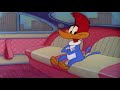 Woody Woodpecker | To Catch a Woodpecker | Full Episodes