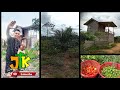 SUKA CITA TINGGAL DI KEBUN