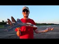 World's Best Brushless RC Jet Under $100 in 2024! EASY TO FLY!