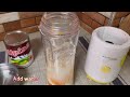 No Sugar Papaya Milkshake || Healthy & Easy Smoothie Recipe || Simply lot-lot
