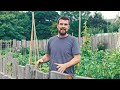 Growing your own food matters more than ever.
