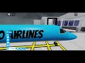 Flight from Robloxia to New York in cabin crew