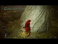 The Red Bear Claw BUFF was Exactly What The Weapon Needed | Elden Ring DLC PATCH 1.13