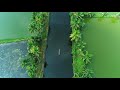 Drone Footage - Bird's Eye View Kerala Backwaters | Pallithode Alappuzha