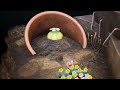 Pikmin 4 Episode 2 | The Sun-Speckled Terrace