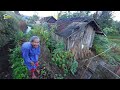 Air Melimpah Hidup Sederhana di Usia Tua, Mak Ating Tinggal Sendiri di Rumah Pinggir Selokan