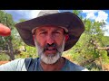 BUILDING SWALES FOR FRUIT TREES AT MY OFF-GRID HOMESTEAD IN NORTHERN ARIZONA