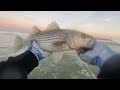 How to find Striped Bass