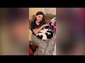 Try Not To Laugh 🤣 New Funny Cats Video 😹 - Tuxedo Cat Part 53