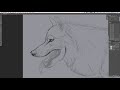 How to Paint Fur - 2 Hour Lesson - Wolf Portrait