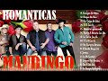 Grupo Mandingo ~Mix Romanticas 2024💕ÉXITOS SUS MEJORES CANCIONES 2024 MEJOR MÚSICA DE AMOR
