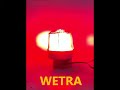 Wetra LED uçak ikaz lambası / LED Aviation Obstruction Lights