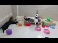 You Laugh You Lose😹Funniest Dogs and Cats 2024😻🐶