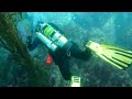 Kelp Dive at Monastery Beach part 1