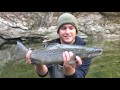 Outdoor Journal - Salmon in the Winooski