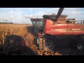Corn picking summer 2016.