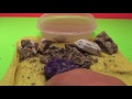 Digging for Crystals, Buried Treasure, Gemstones On fun house TV