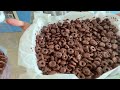 Barrette ai cereali e cioccolato fondente