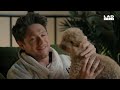 Niall Horan Hugs A Puppy & Reveals His Love Language | The Most Relaxing Interview Ever | @LADbible​