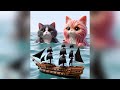 Orange Cat Voyage  #萌宠 #cat #aicat #cute #story #kittycat  #kitty #pets
