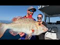 Liveaboard for 10 days exploring the Whitsundays | Ultimate boating & fishing holiday | How & Where