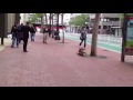 Bulldog skateboards down Market Street