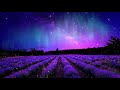 Hypnosis Meditation Guided ➤ Healing Ancestral Karmic Patterns | Positive Energy | Raise Vibration