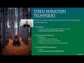 Athletic Flow States Mini-Course part 5.2 - Reducing stress 2